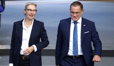 Neue Studie: AfD auch unter manchen Migranten-Gruppen stärkste Kraft | Politik