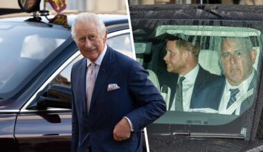 Prinz Harry und König Charles treffen sich: 55 Minuten, die so viel bedeuten | Unterhaltung