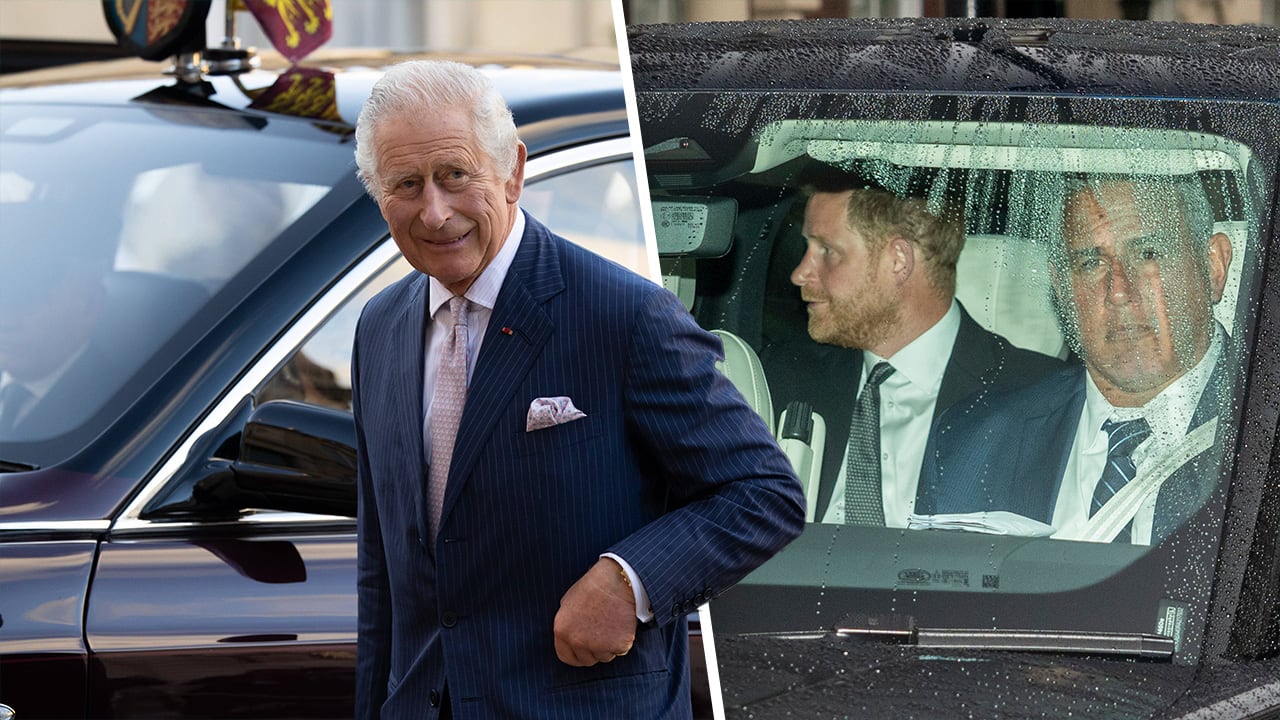 Prinz Harry und König Charles treffen sich: 55 Minuten, die so viel bedeuten | Unterhaltung