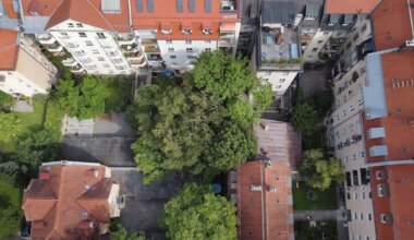 München: Gericht stoppt Baumfällung in der Lindenschmitstraße in Sendling - München