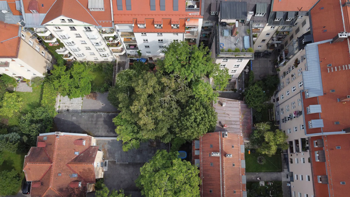 München: Gericht stoppt Baumfällung in der Lindenschmitstraße in Sendling - München