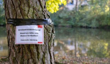 Bayern: Rätselhaftes Fischsterben im Nürnberger Langwassersee
