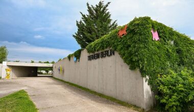 Berlin & Brandenburg: Tierheim schließt wegen Tierseuche bei Tauben