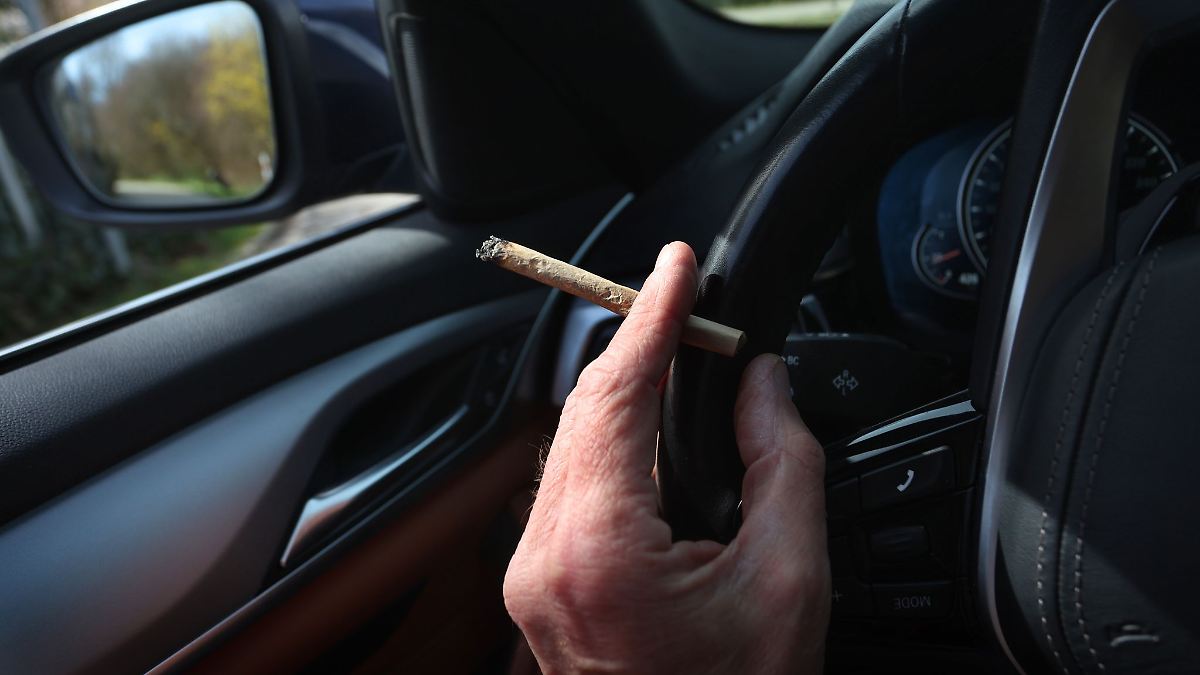 Berlin & Brandenburg: Cannabis: Berlin will strengere Grenzwerte für Autofahrer