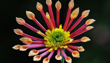 Eleganz, Wildheit und stille Räume: Die Bilder der Woche 37