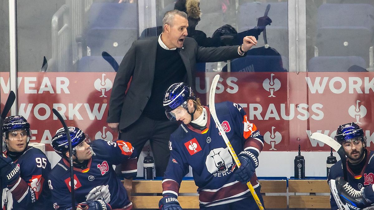 Berlin & Brandenburg: Eisbären Berlin verlieren 1:7 in Mannheim