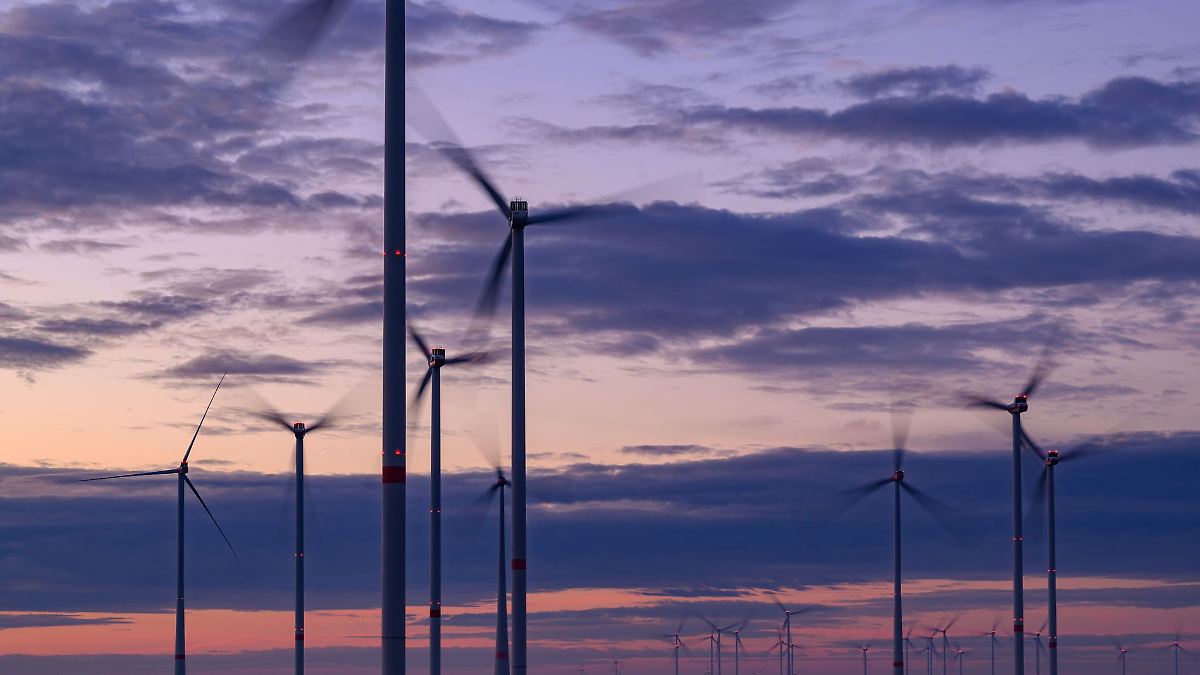 Berlin & Brandenburg: Koalition will "Wildwuchs" bei der Windkraft stoppen