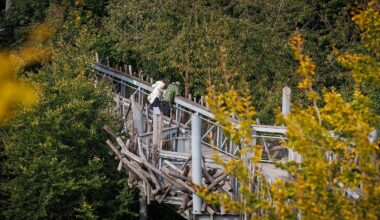 Niedersachsen & Bremen: Steuerzahlerbund kritisiert Baumwipfelpfad in Bad Iburg