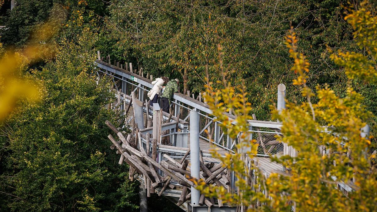 Niedersachsen & Bremen: Steuerzahlerbund kritisiert Baumwipfelpfad in Bad Iburg