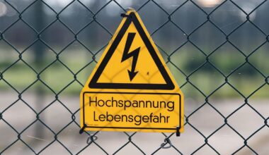 Hessen: Marder soll Stromausfall in Eltville verursacht haben