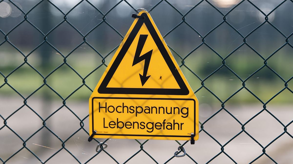 Hessen: Marder soll Stromausfall in Eltville verursacht haben