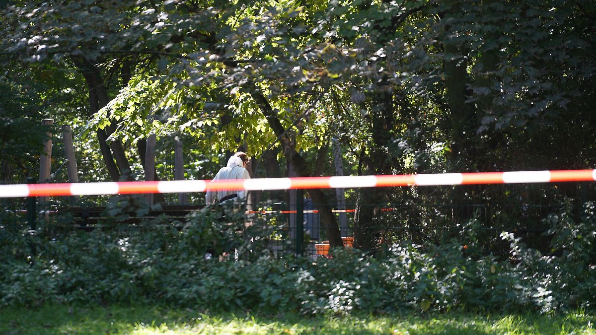 Berlin & Brandenburg: Frauenleiche auf Spielplatz - Verdächtiger wieder frei