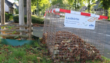 Bäume verlieren bereits ihre Blätter - EBE stellt Laubkörbe früher auf