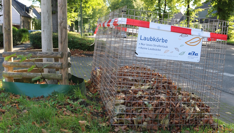 Bäume verlieren bereits ihre Blätter - EBE stellt Laubkörbe früher auf