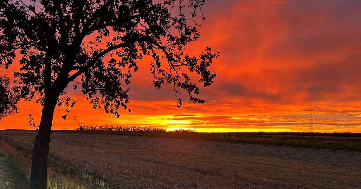 Roter Abendhimmel über Leipzig stimmt auf anstehende „Blutmond“-Finsternis ein