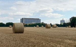 Das Gelände neben dem ZDF auf dem Mainzer Lerchenberg sollte einst mit einem Medienpark bebaut werden, das Vorhaben scheiterte - auch an Umweltbedenken. - Foto: gik
