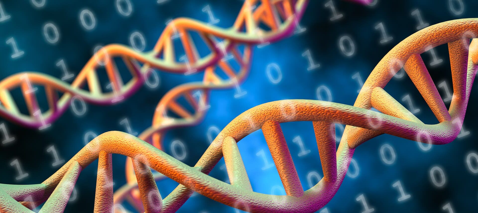 3-D-Darstellung von DNA-Doppelhelixen, die in warmen Farben dargestellt sind. Im Hintergrund sind binäre Zahlen (0 und 1) sichtbar, die auf die Verbindung von Genetik und Datenverarbeitung hinweisen. Die Szene vermittelt ein Gefühl von Wissenschaft und Technologie.