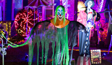 Halloween-Deko für draußen: Elektrische Grusel-Effekte