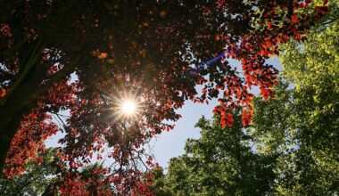 Berlin & Brandenburg: Sonniges Wochenende in Berlin und Brandenburg