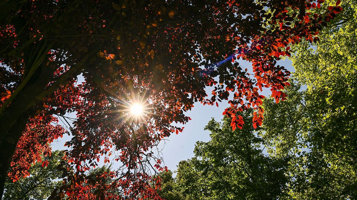Berlin & Brandenburg: Sonniges Wochenende in Berlin und Brandenburg