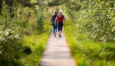 Niedersachsen & Bremen: Der Herbst bleibt freundlich und trocken