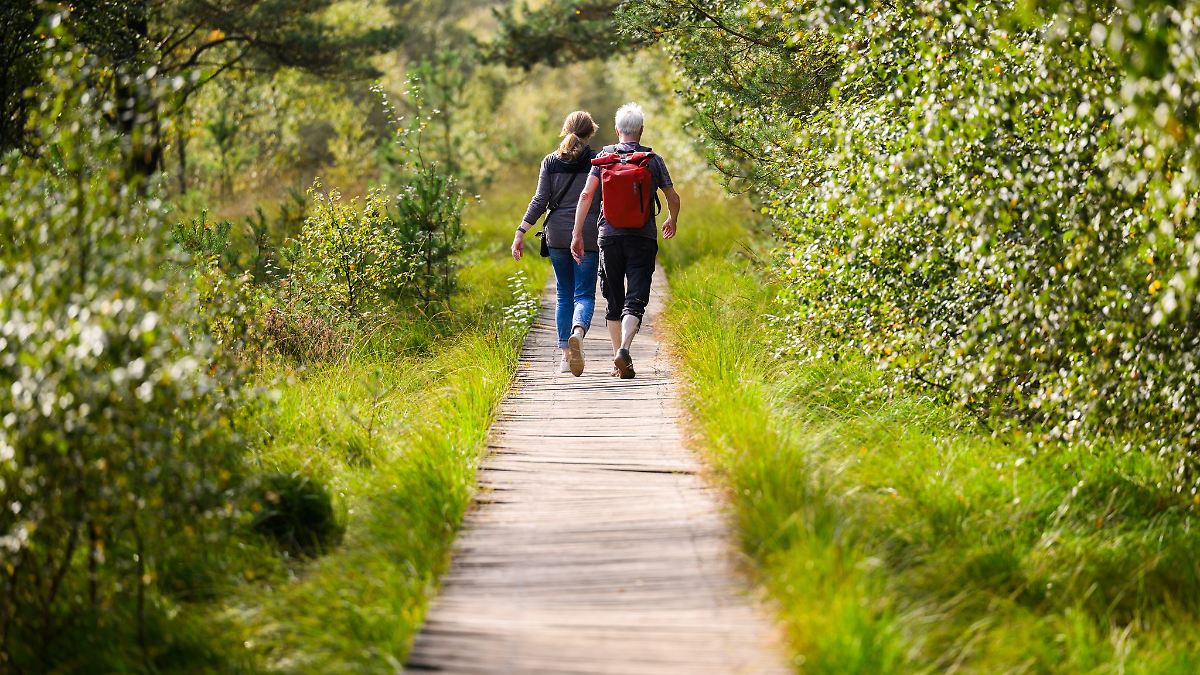 Niedersachsen & Bremen: Der Herbst bleibt freundlich und trocken