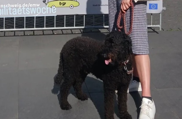 POL-SZ: Pressemitteilung des Polizeikommissariats Wolfenbüttel vom 20.09.2025: