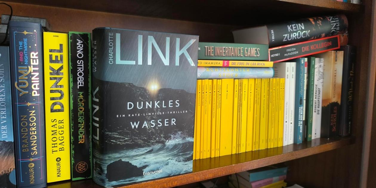 „Dunkles Wasser“ von Charlotte Link: Band 5 der „Kate Linville“-Reihe