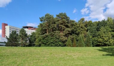 Klinikpark: BUND Naturschutz nimmt Stellung zum abgelehnten Ratsbegehren