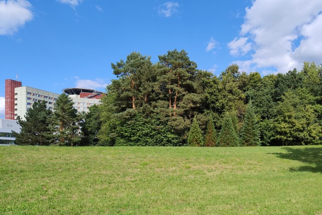 Klinikpark: BUND Naturschutz nimmt Stellung zum abgelehnten Ratsbegehren