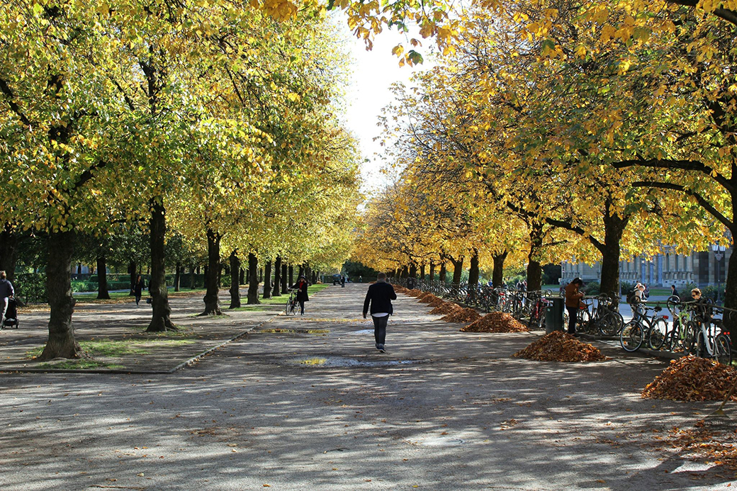 München im Herbst 2025: Welche Highlights stehen an?