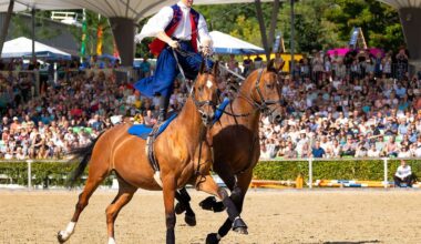 Sachsen: Mehr als 130 Pferde bei Moritzburger Hengstparade