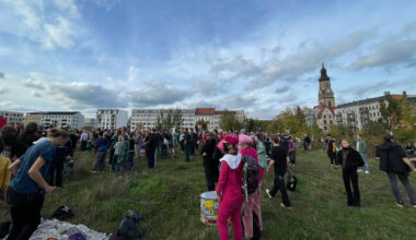 Hunderte Menschen auf einer Wiese.