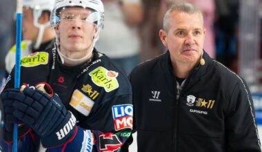 Berlin & Brandenburg: Coolness und Qualität: Eisbären zeigen in Köln ihre Stärken