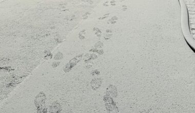 Würzburg: Winter in Heidingsfeld?… | Radio Charivari Würzburg