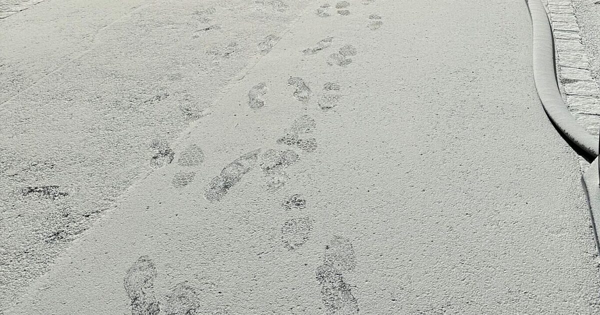 Würzburg: Winter in Heidingsfeld?… | Radio Charivari Würzburg