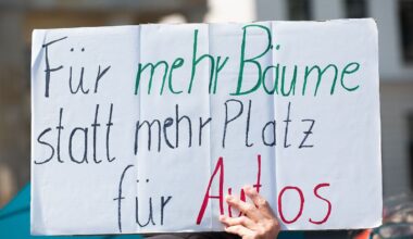 Berlin & Brandenburg: Initiative drängt auf Beschluss für mehr Bäume in Berlin