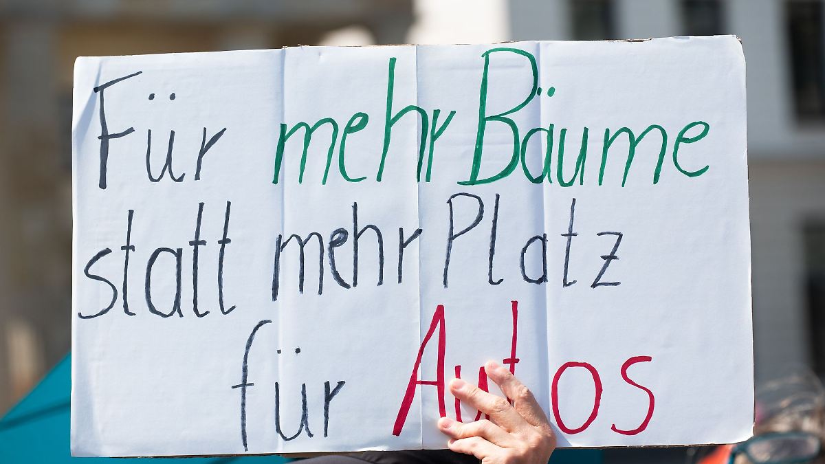 Berlin & Brandenburg: Initiative drängt auf Beschluss für mehr Bäume in Berlin