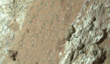 Nahaufnahme einer felsigen Oberfläche mit unregelmäßigen, hellen und dunklen Bereichen. Die Textur ist rau und weist kleine, erhabene Strukturen auf. Die Farben variieren von beige bis braun, mit einigen grünlichen Elementen. Die Oberfläche scheint erodiert oder verwittert zu sein, was auf geologische Prozesse hinweisen könnte.