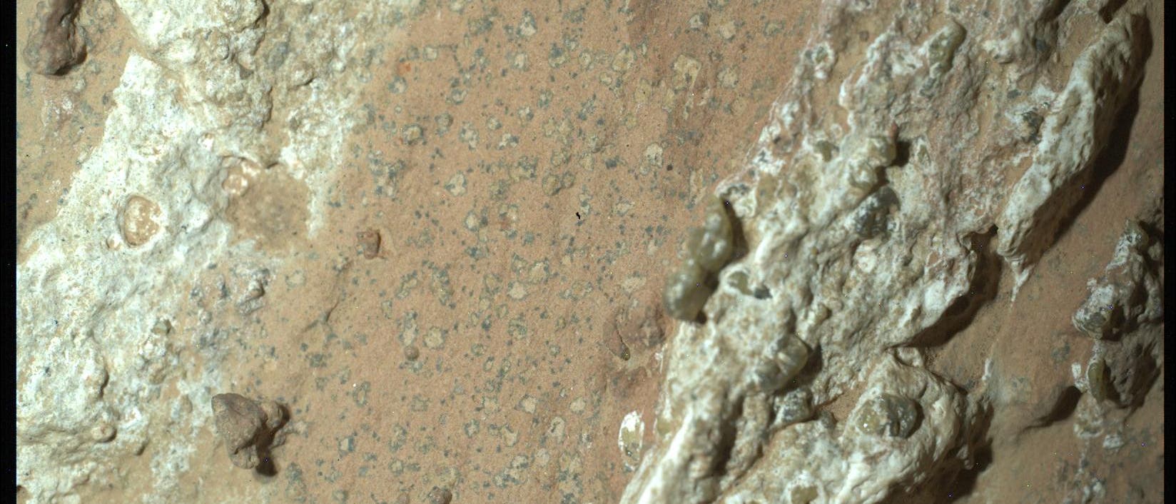Nahaufnahme einer felsigen Oberfläche mit unregelmäßigen, hellen und dunklen Bereichen. Die Textur ist rau und weist kleine, erhabene Strukturen auf. Die Farben variieren von beige bis braun, mit einigen grünlichen Elementen. Die Oberfläche scheint erodiert oder verwittert zu sein, was auf geologische Prozesse hinweisen könnte.