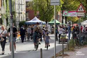 Der diesjährige "Parking Day" fand auf der Geiststraße statt. (Foto: Bührke)