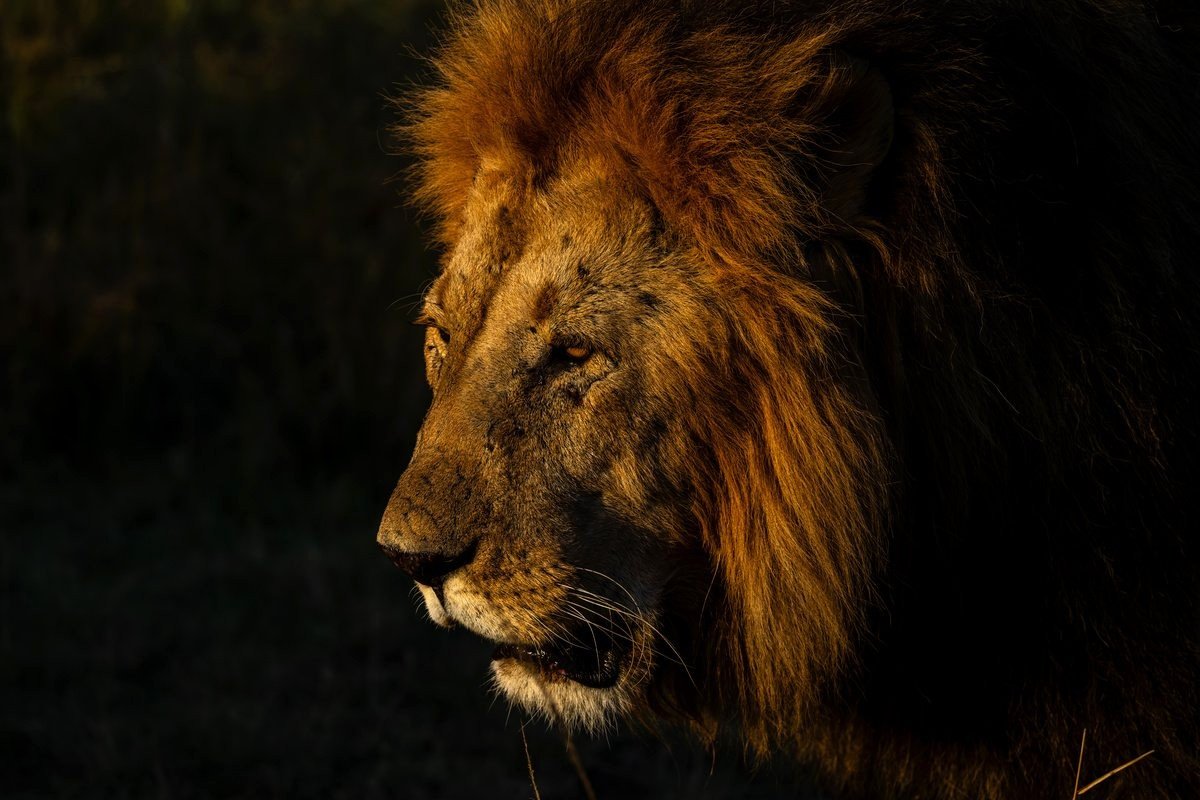 Licht, Stille und Ausdruckskraft: Die Bilder der Woche 39