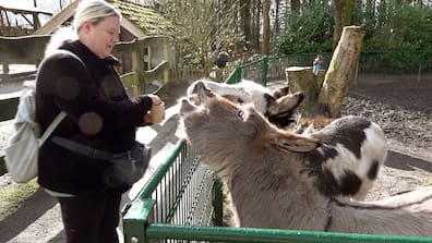 Bei Sandra und ihrem Sohn Dave steht ein Ausflug in den Tierpark  an. 