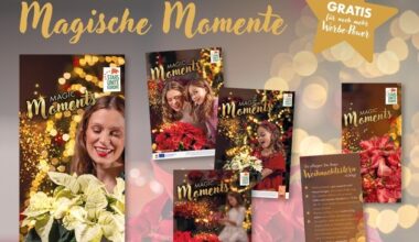 Mehr Erfolg im Weihnachtsgeschäft: Nur noch bis zum 18. September - ...