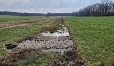Mehr Wasser für die Herzogsberge
