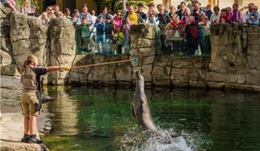 Blick hinter die Kulissen: „Zootag“ im Frankfurter Zoo