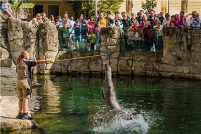 Blick hinter die Kulissen: „Zootag“ im Frankfurter Zoo
