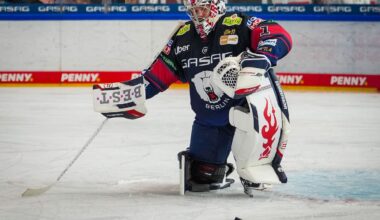 Berlin & Brandenburg: Eisbären Berlin verlieren auch gegen Straubing