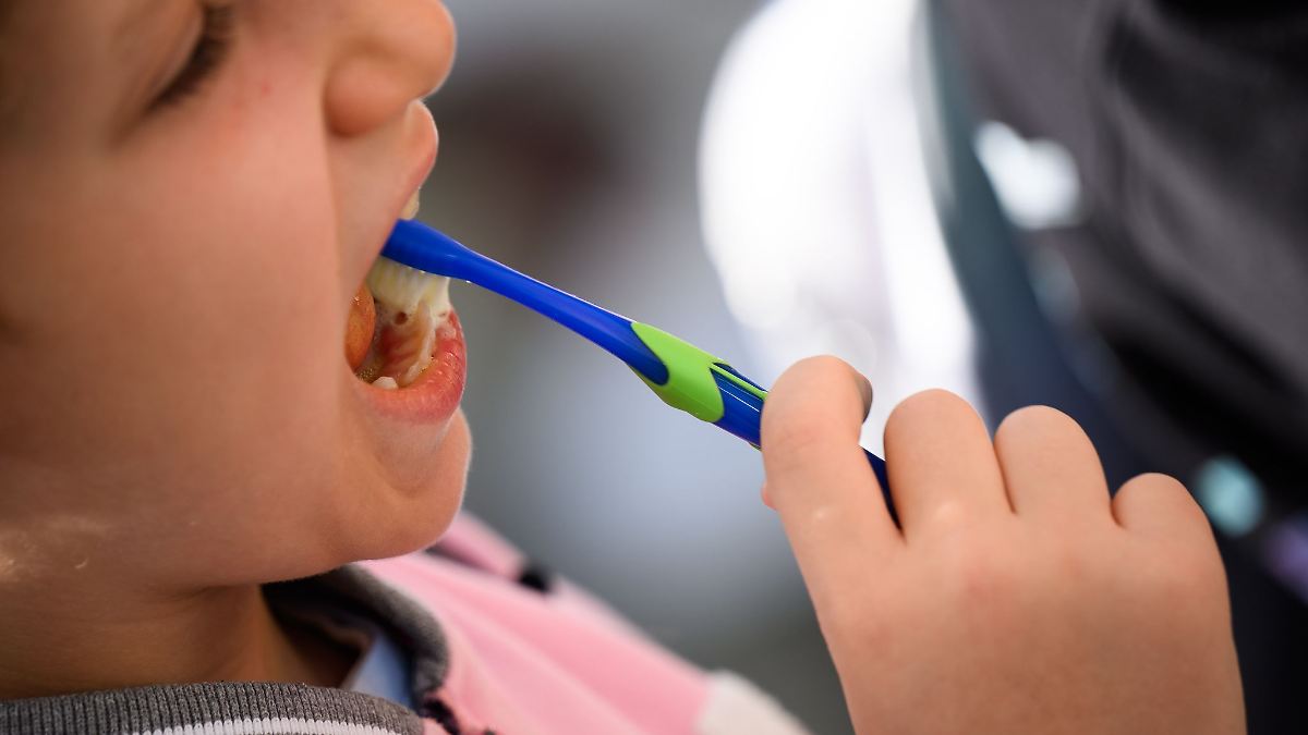 Niedersachsen & Bremen: Karies bei Kita-Kindern soll früher erkannt werden