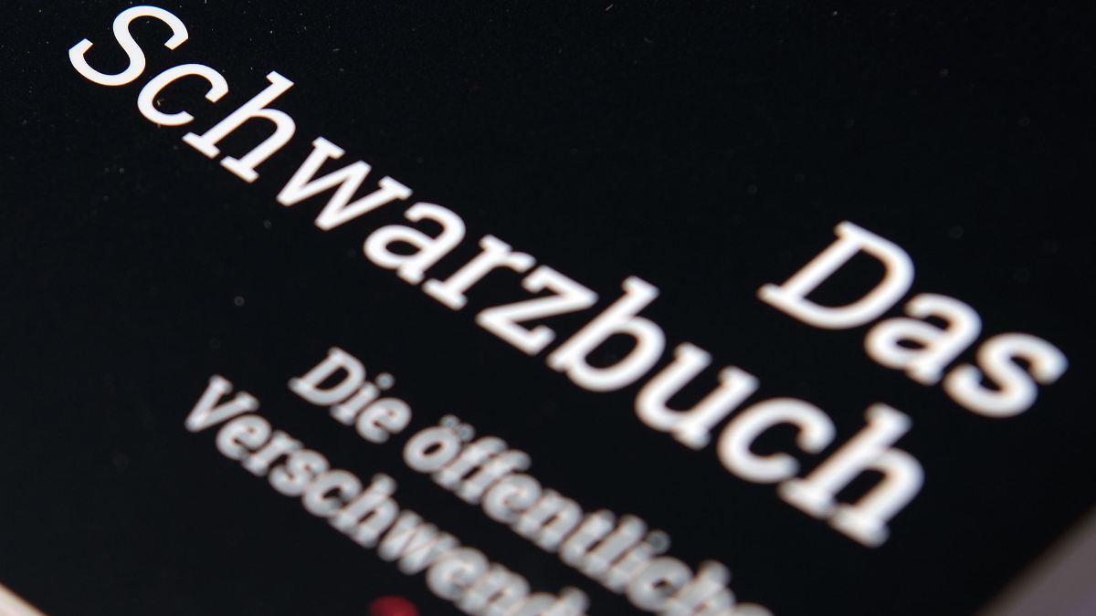 Hamburg & Schleswig-Holstein: Verein stellt Fälle von Verschwendung von Steuergeldern vor